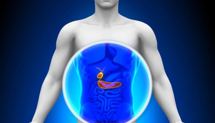 1 de 1 pancreas - Foto: Canva