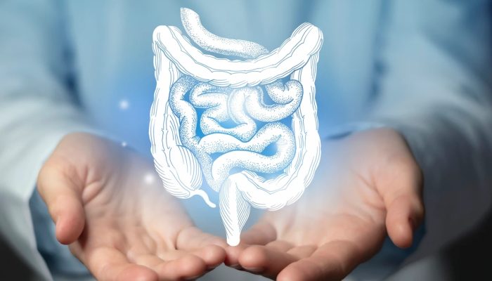 1 de 1 Ilustração colorida de intestino entre as mãos de um homem - Metrópoles - Foto: mi-vir...