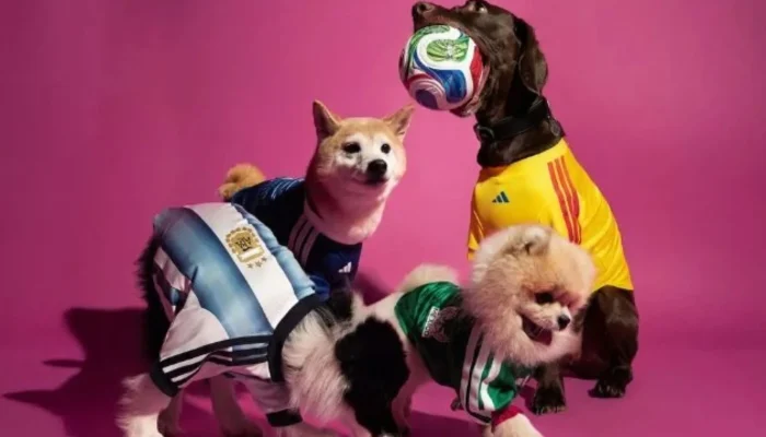 Adidas lança camisas da Copa do Mundo de 2026 para cães.| Foto: Divulgação Adidas / Reproduç...
