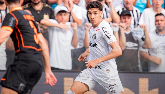 Raul Baretta/ Santos FC/ ReproduÃ§Ã£o/ND Mais