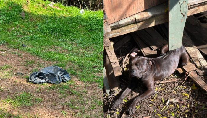 G1