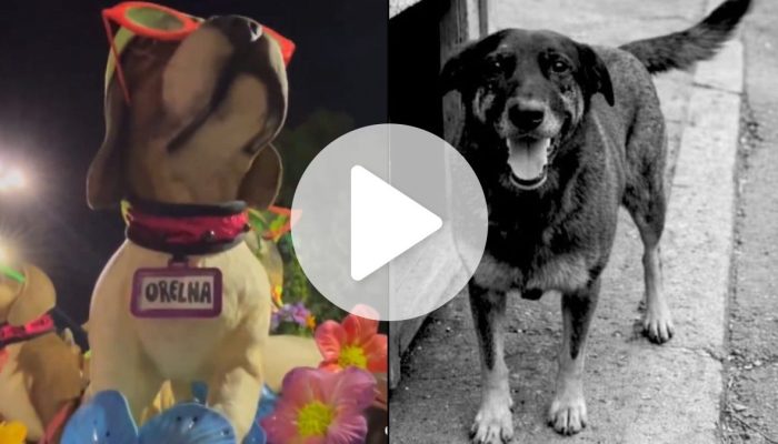 Alan Pedro/Jornal ND/ND Mais