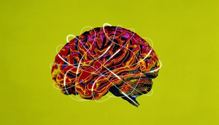 1 de 1 Cérebro humano, vista lateral (Composição Digital) - Foto: John Lund/Getty Images