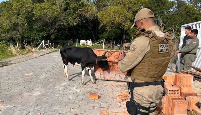 Arquivo Pessoal/ND Mais