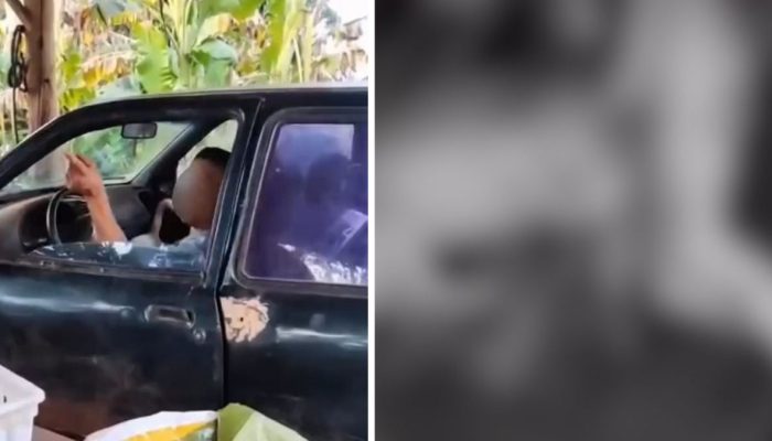 ReproduÃ§Ã£o/ND Mais