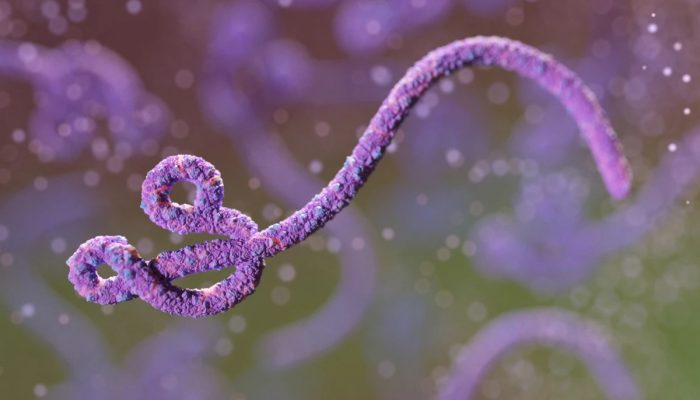 1 de 1 Vírus Ebola, ilustração digital descarta paciente - Foto: Maciej Frolow/Getty Images