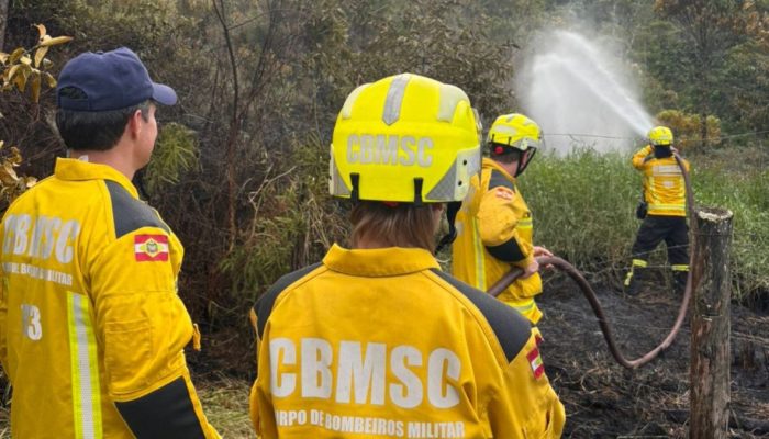 Reprodução/ND Mais