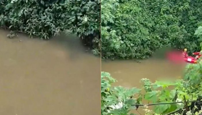 ReproduÃ§Ã£o/ND Mais