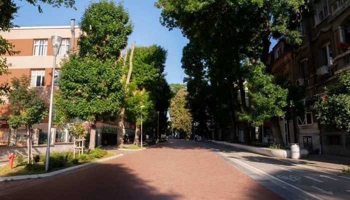 1 de 1 rua arborizada - Metrópoles - Foto: Freepik