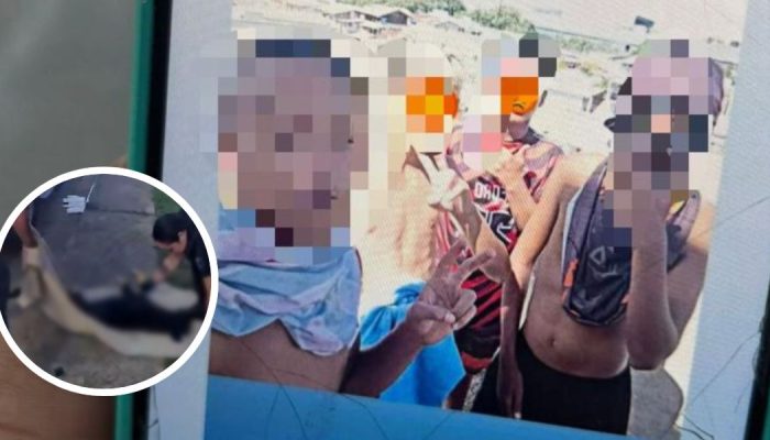 Suspeitos de matar cão ao jogá-lo de prédio em SCFoto: PMSC/Reprodução/ND Mais