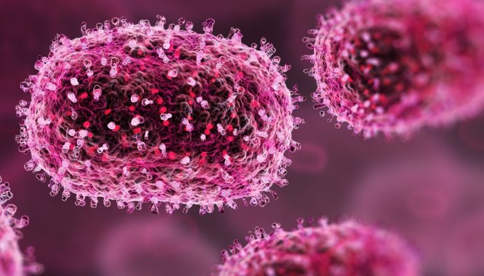 1 de 1 ilustração Partículas do vírus Mpox (anteriormente vírus da varíola dos macacos) - F...